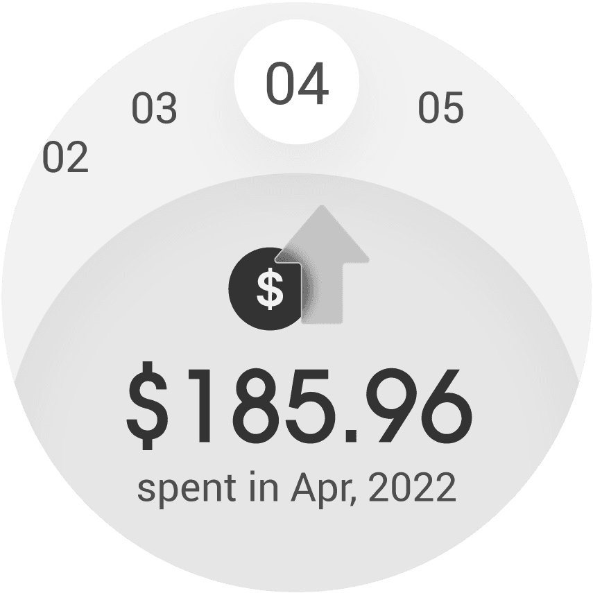 The spending page shows the amount spent each month. Users can view different months using the scrollable top section.